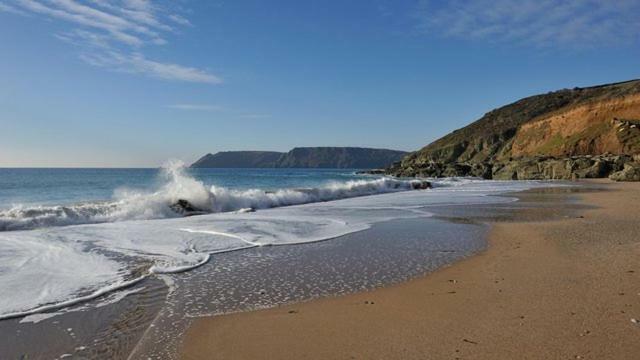 Pilchards Noss Mayo