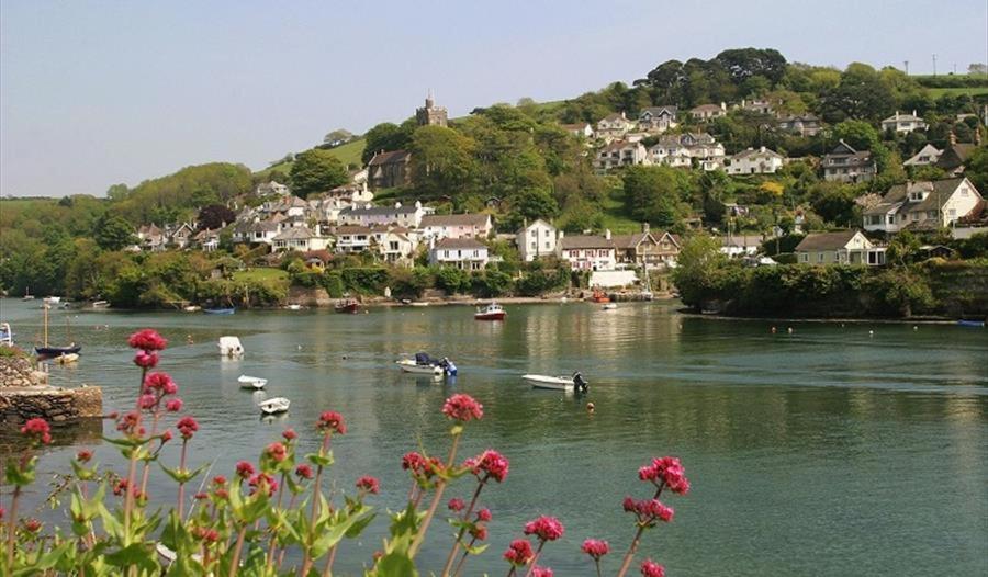 Pilchards * Noss Mayo